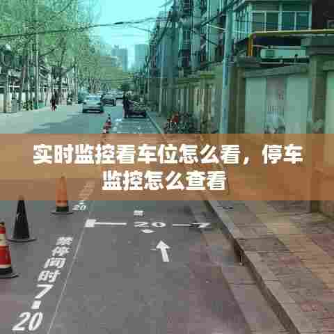 实时监控看车位怎么看，停车监控怎么查看 