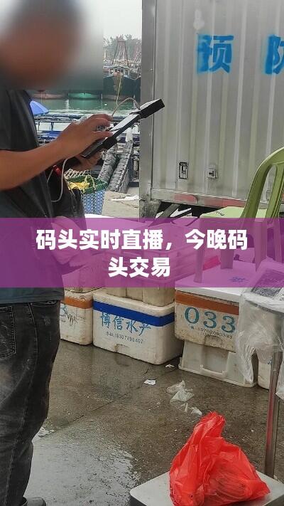 码头实时直播，今晚码头交易 
