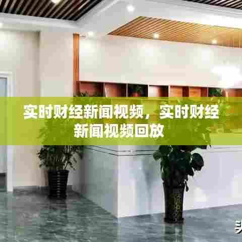 实时财经新闻视频，实时财经新闻视频回放 