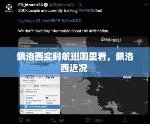 佩洛西实时航班哪里看,佩洛西近况