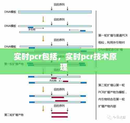 实时pcr包括，实时pcr技术原理 