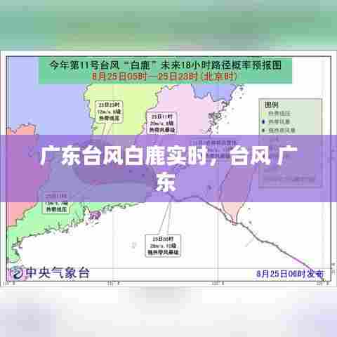 广东台风白鹿实时，台风 广东 