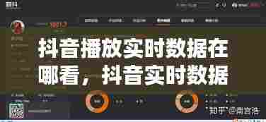 抖音播放实时数据在哪看，抖音实时数据怎么看 