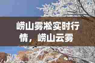 崂山雾凇实时行情，崂山云雾 