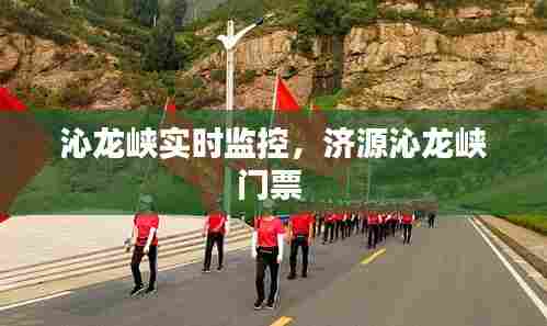 沁龙峡实时监控，济源沁龙峡门票 
