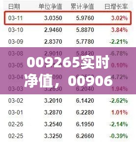 009265实时净值，009062净值 