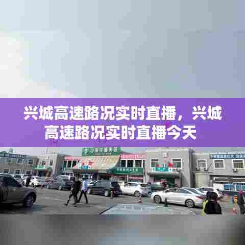 兴城高速路况实时直播，兴城高速路况实时直播今天 