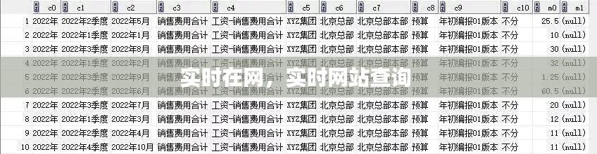 实时在网,实时网站查询