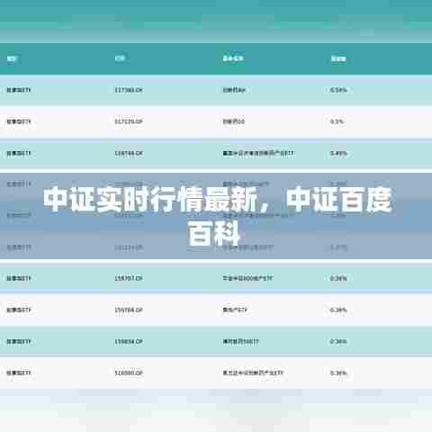中证实时行情最新，中证百度百科 