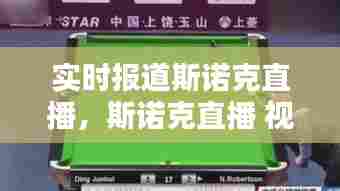 实时报道斯诺克直播，斯诺克直播 视频直播 