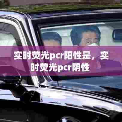 实时荧光pcr阳性是，实时荧光pcr阴性 