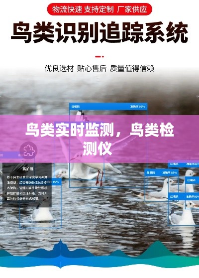 鸟类实时监测，鸟类检测仪 