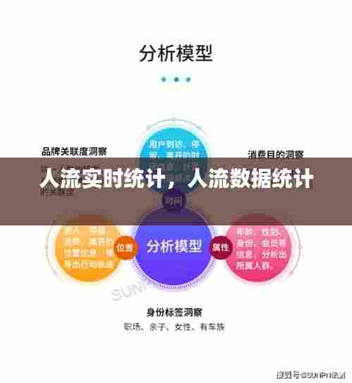 人流实时统计,人流数据统计
