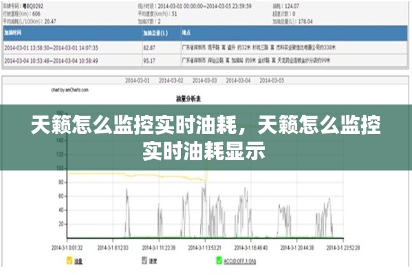 天籁怎么监控实时油耗，天籁怎么监控实时油耗显示 