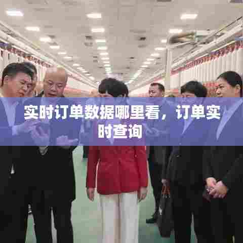 实时订单数据哪里看，订单实时查询 