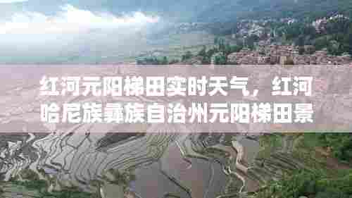 红河元阳梯田实时天气，红河哈尼族彝族自治州元阳梯田景区天气情况 