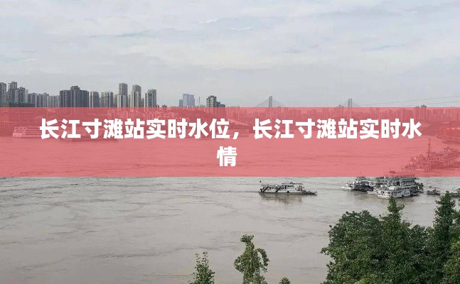 长江寸滩站实时水位，长江寸滩站实时水情 