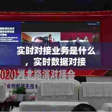 实时对接业务是什么,实时数据对接