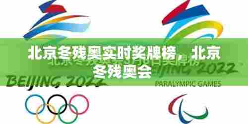 北京冬残奥实时奖牌榜，北京冬残奥会 