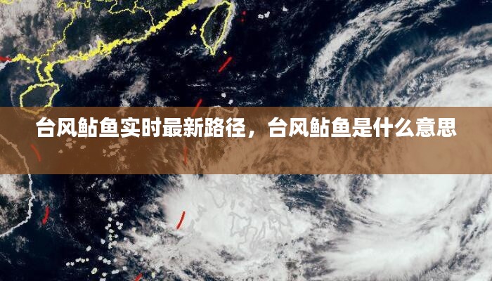 台风鲇鱼实时最新路径，台风鲇鱼是什么意思 
