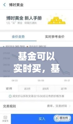 基金可以实时买，基金可以实时买卖吗 