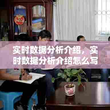 实时数据分析介绍，实时数据分析介绍怎么写 