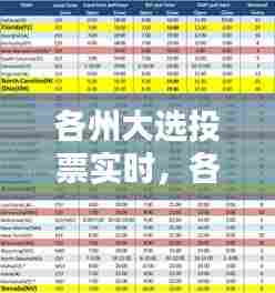 各州大选投票实时,各州大选投票实时公布