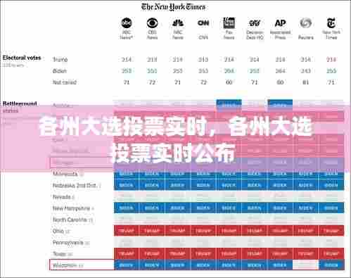 各州大选投票实时,各州大选投票实时公布