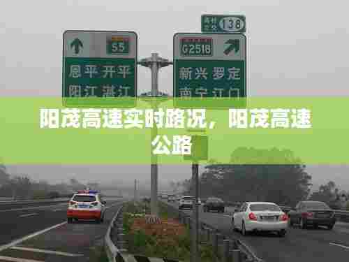 阳茂高速实时路况，阳茂高速公路 