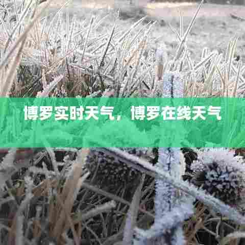 博罗实时天气,博罗在线天气