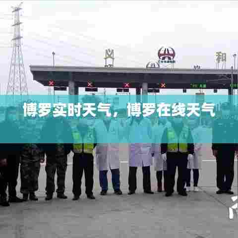 博罗实时天气，博罗在线天气 