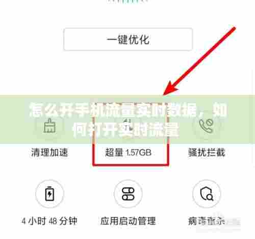 怎么开手机流量实时数据，如何打开实时流量 