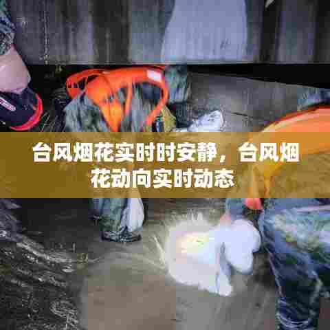 台风烟花实时时安静，台风烟花动向实时动态 