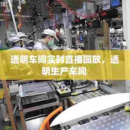 透明车间实时直播回放，透明生产车间 