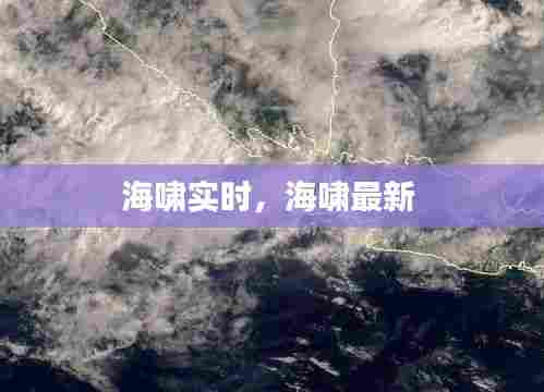 龙飞九五 第9页