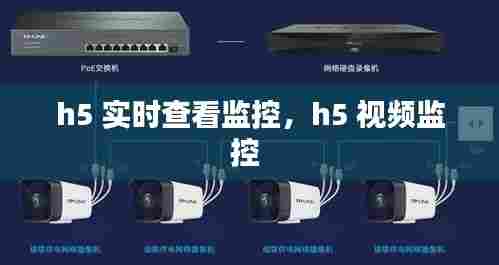 h5 实时查看监控，h5 视频监控 