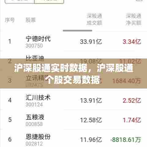 沪深股通实时数据，沪深股通个股交易数据 