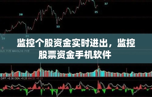 监控个股资金实时进出，监控股票资金手机软件 