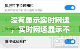 没有显示实时网速，实时网速显示不出来 