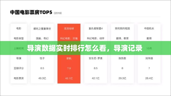 导演数据实时排行怎么看,导演记录