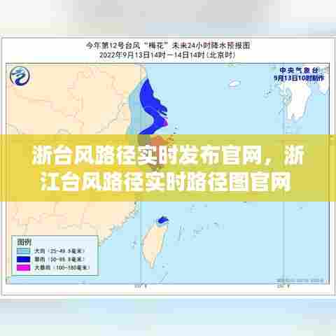 浙台风路径实时发布官网，浙江台风路径实时路径图官网 