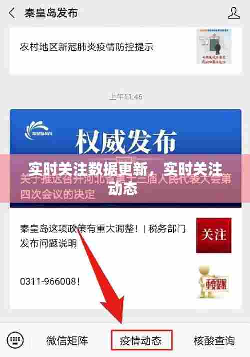 实时关注数据更新，实时关注动态 