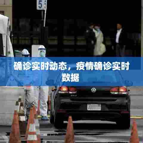 确诊实时动态，疫情确诊实时数据 