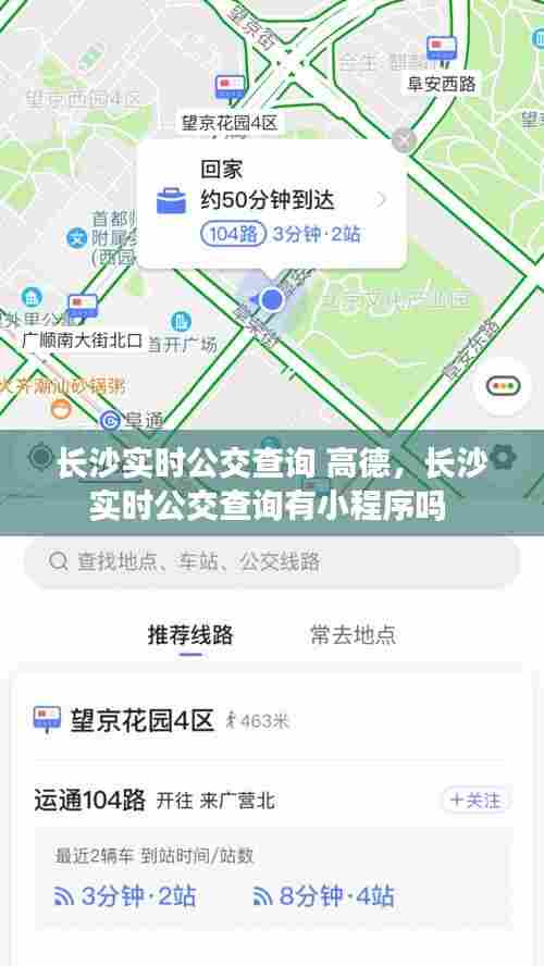 长沙实时公交查询 高德，长沙实时公交查询有小程序吗 