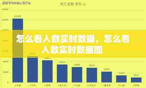怎么看人数实时数据，怎么看人数实时数据图 