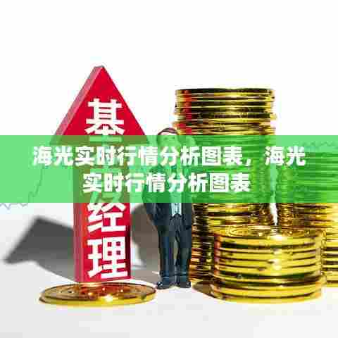海光实时行情分析图表，海光实时行情分析图表 