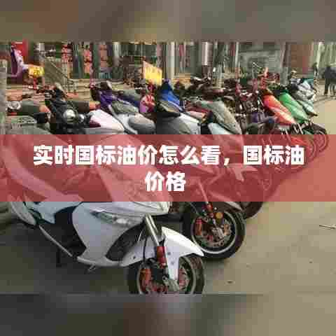 实时国标油价怎么看，国标油价格 