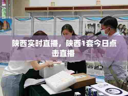 陕西实时直播，陕西1套今日点击直播 