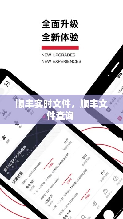 顺丰实时文件，顺丰文件查询 