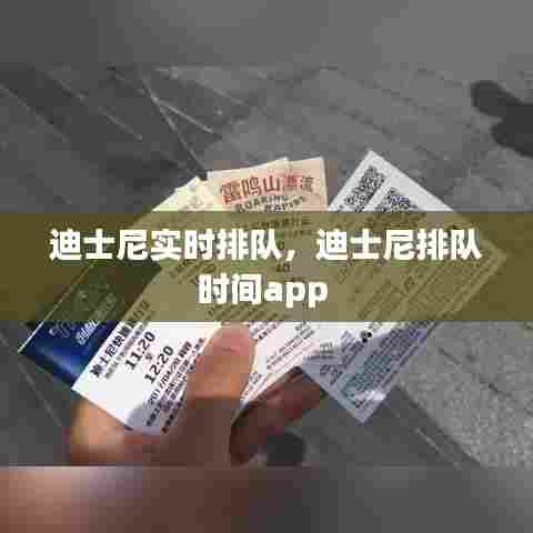 迪士尼实时排队，迪士尼排队时间app 